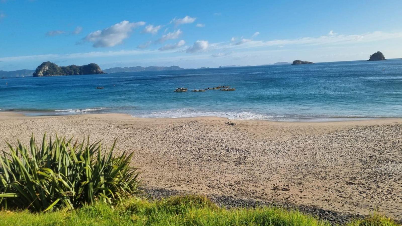 Cooks Beach Country Retreat 아파트 외부 사진